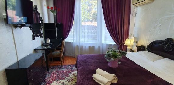 Garsoniera de inchiriat in zona Gara De Nord cu centrala proprie - Fotografie 2