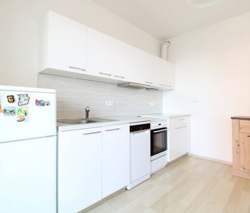 Pronájem bytu 1+kk • 41 m²Nad Akcízem, Praha - Ďáblice - Photo 3