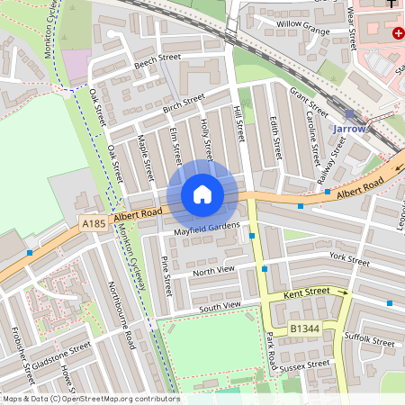 Albert Road, Jarrow, NE32