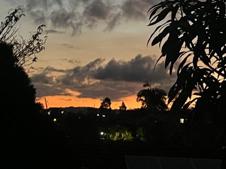 Pacific Pines - Photo 3