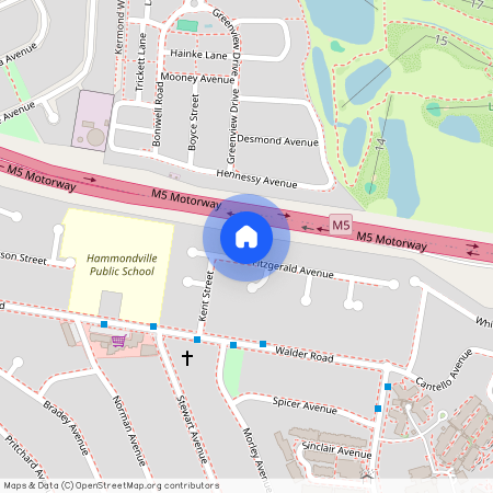 17 Fitzgerald Avenue, NSW 2170, Hammondville