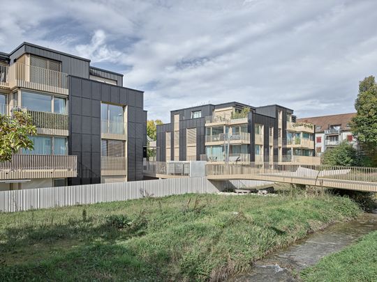 8303 Bassersdorf - Photo 1