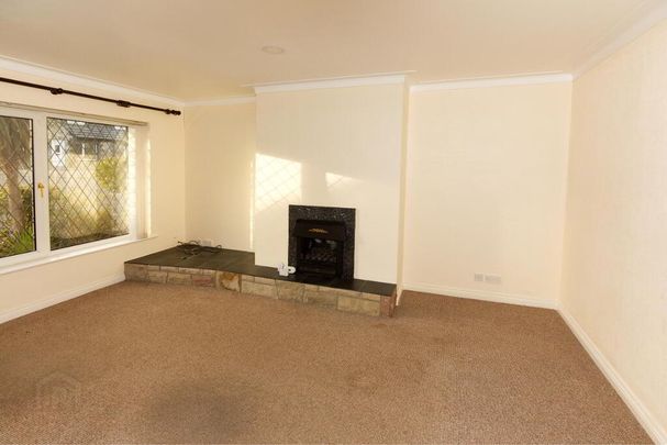 16 Cuttles Court, Comber, BT23 5YR - Photo 1