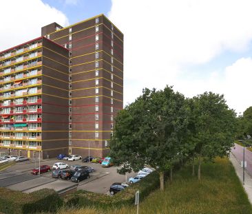 Appartement Haagsebos 100, Zoetermeer - À Louer - Photo 6