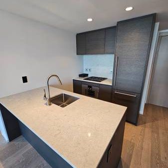 BRAND NEW 1 BED + DEN *LANDMARK ON ROBSON* - Photo 3