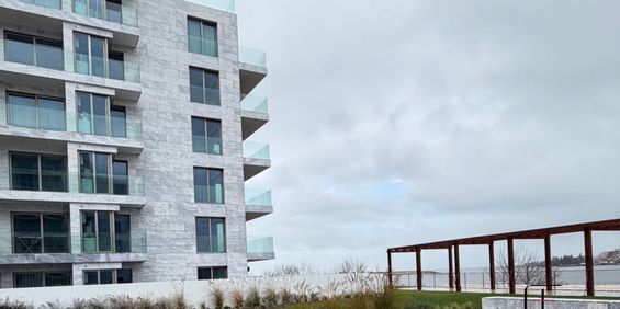 Apartamento T2 em Porto - Photo 3