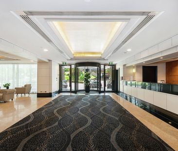 806/187 Kent Street, Sydney NSW 2000 - Apartment For Rent | Domain - Photo 6