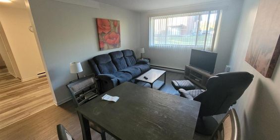 1845 Saint Louis (Gatineau) Super Appartement 3 1/2, Dans Un Quartier Résidentiel Très Tranquille. - Photo 3