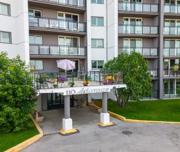Adamar Manor — 1 Bedroom 1 Bath Modern (1Bed1BathM-A3) - Photo 2