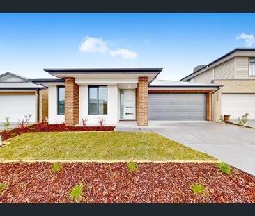 78 Lincoln Avenue, Officer, Vic 3809 - Photo 3