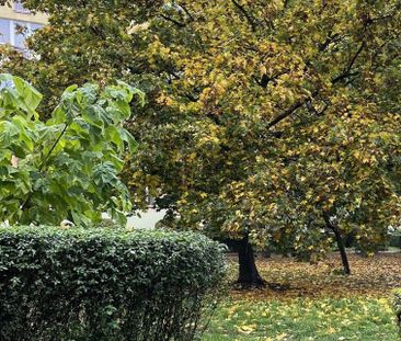2 pokojowe do wynajęcia Legnica obręb Zosinek - Zdjęcie 2