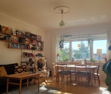 Lönngatan, Malmö - Foto 1