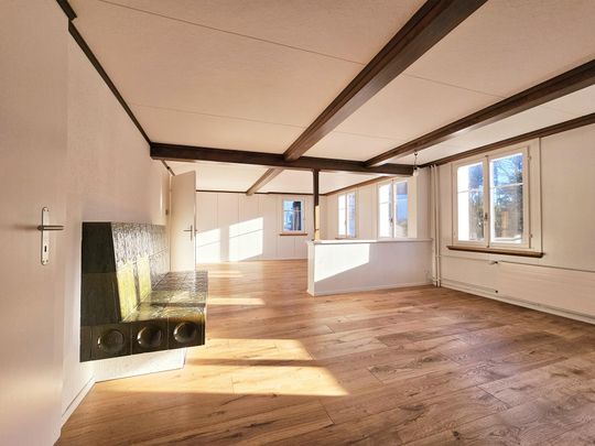 Grosszügiges 6.5 Zi. Appenzellerhaus an ruhiger Lage! - Foto 1