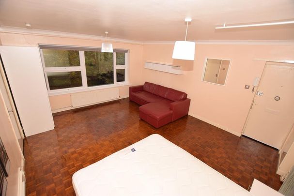 Studio to rent - Photo 1