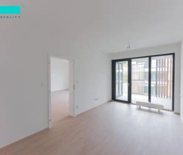 Pronájem krásného bytu v novostavbě na ulici Věry Pánkové v Olomouci - Fotografie 3