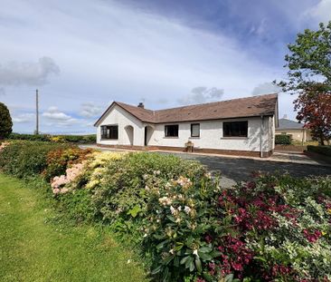 62 Ballysallagh Road, Downpatrick, BT30 7EH - Photo 5