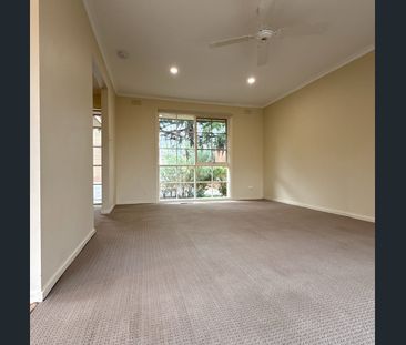 Secluded and Bright Ormond Jewel - Photo 1