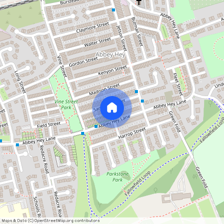 Sandown Street, Manchester, Greater Manchester, M18