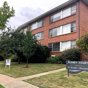 28/137 Blamey Crescent, Campbell ACT 2612 - Apartment For Rent | Domain - Photo 2