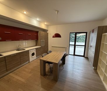 Apartament 5 camere de inchiriat zona Herastrau - Photo 4