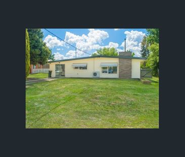 CLOSE TO UNE CAMPUS - Photo 6