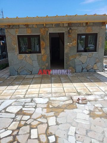 Μονοκατοικία για ενοικίαση Καλλικράτεια - Photo 4