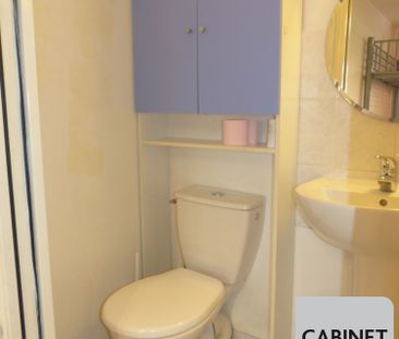 Location Appartement 1 pièce 22m² GRENOBLE 38000 - Photo 3