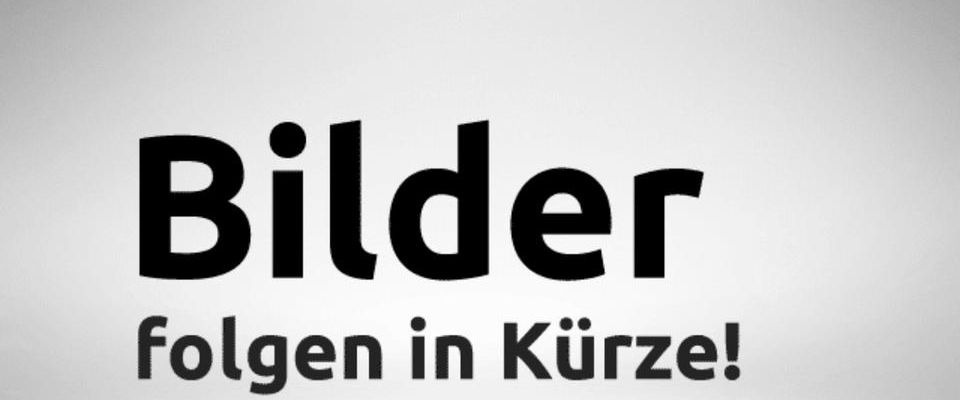1 Zimmer Wohnung 33 qm mit Küche Diele Bad - Foto 1