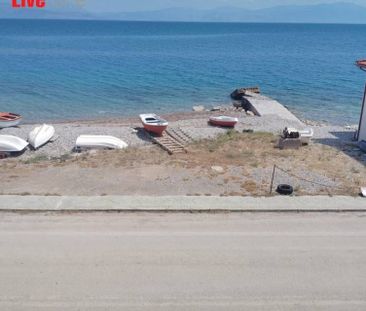 Μονοκατοικία για ενοικίαση Λυκοποριά (Ευρωστίνη) - Φωτογραφία 2