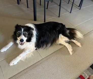 Point Cook - Photo 5