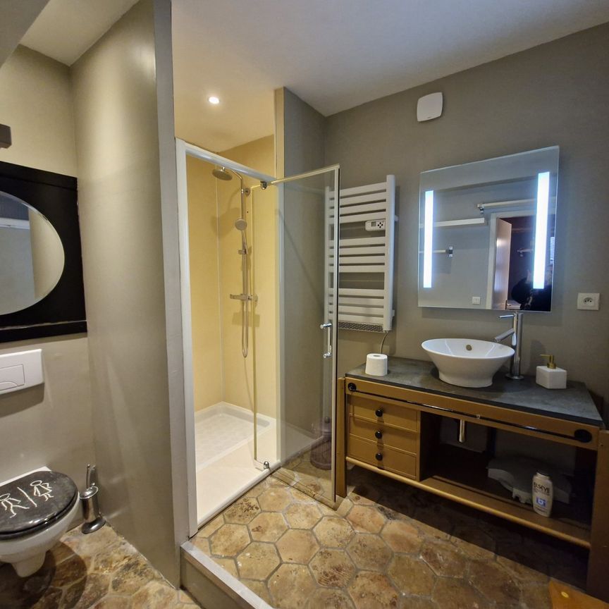 Location Appartement 2 pièces 58m² VIENNE 38200 - Photo 1