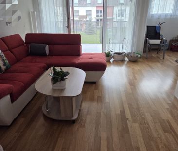 2.5 Zimmer, 60 m² - Foto 2