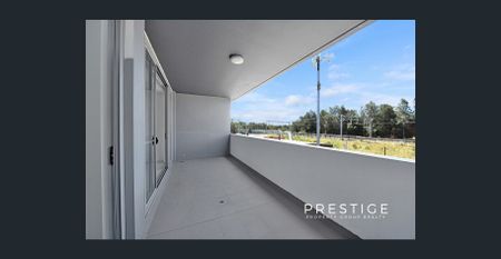 OVERSIZED ONE BEDROOM APARTMENT - Photo 4