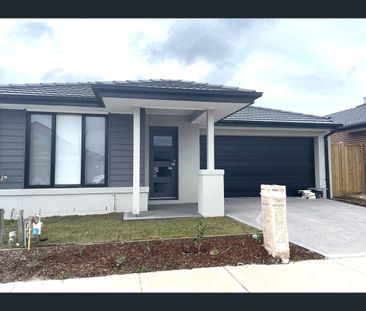 14 Borage Street, Mickleham, Vic 3064 - Photo 2