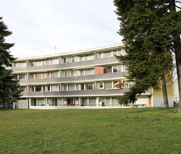 3 Zimmer, 46 m², 1. Stock - Foto 2