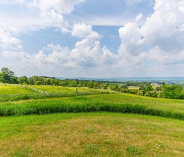 For Lease - 496083 Grey Road 2 Road, Blue Mountains, Ontario - Photo 5