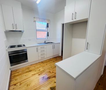 One Bedroom Cutie! - Photo 4