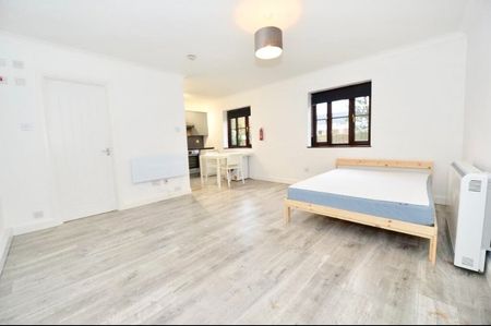 Studio Flat, Albemarle Court, SO17 - Photo 4