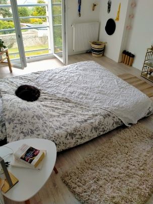 Location Appartement 2 pièces 41m² NANTES 44300 - Photo 1