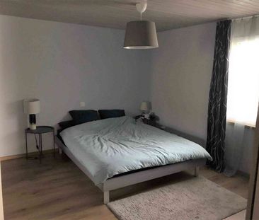 3 Zimmer, 60 m², EG - Foto 1