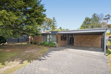 12 Frodsham Rd, Ringwood VIC 3134 - House For Rent | Domain - Photo 3