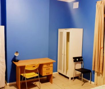 419 Harris Street, Sydney - Photo 5