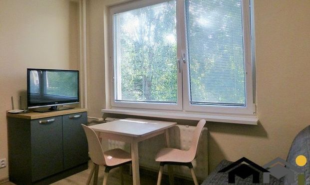 PRENÁJOM ZARIADENÉHO 1 IZBOVÉHO BYTU S BALKÓNOM NA CHRENOVEJ - Photo 1