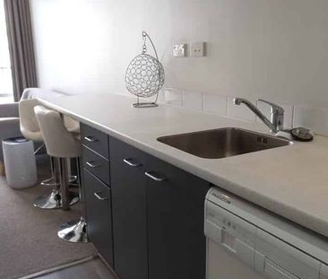 1 Bedroom studio - Photo 4