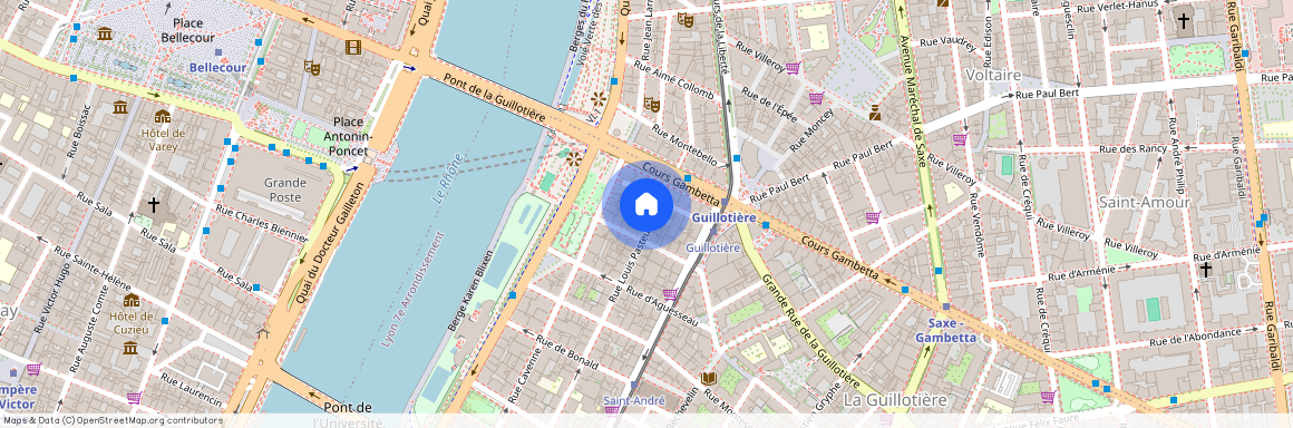 6 RUE PASTEUR, LYON 7EME ARRONDISSEMENT Pasteur