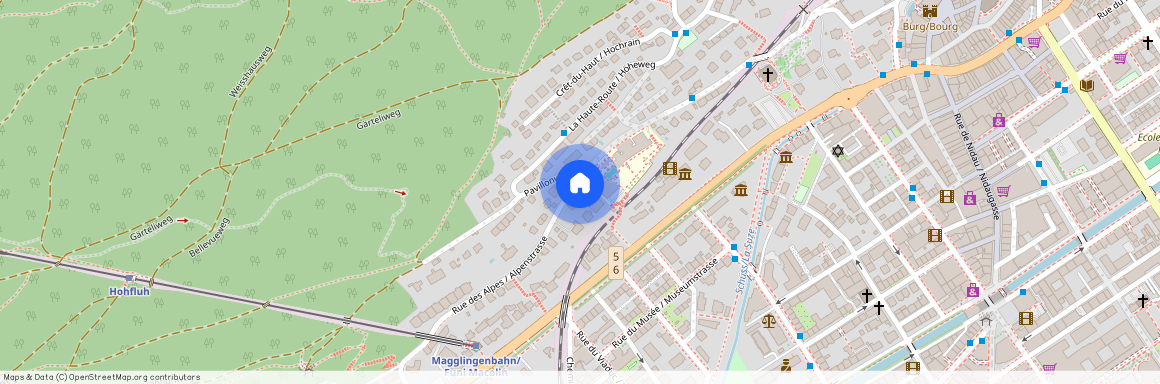 2502, Biel/Bienne, Rue Des Alpes / Alpenstrasse, 46