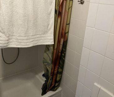 Bringen Sie Ihr Herz mit, es wird sich wohlfühlen! - Photo 1