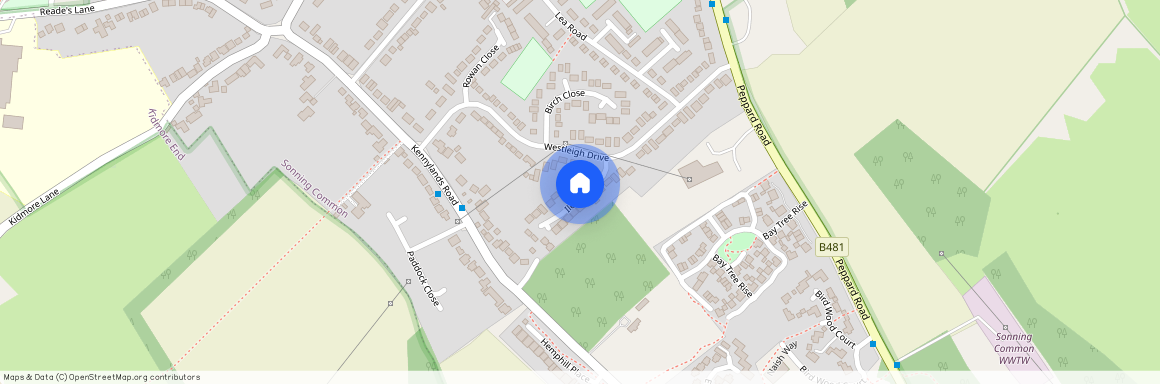 Ilex Close, Sonning Common, RG4