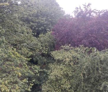 3 ZKB möbilliert beste Auteilung Aussicht Lage - Photo 1