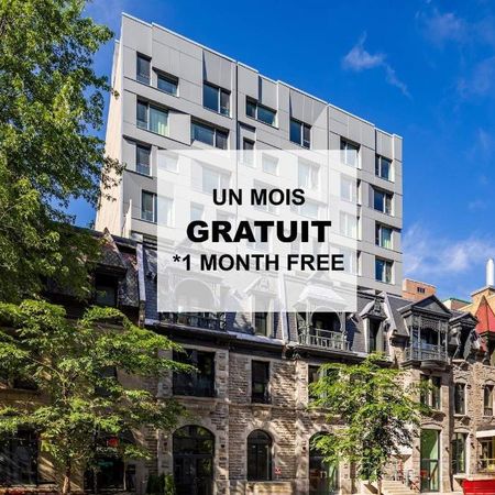 ✨ Loft à louer – Bishop Embassy (Centre-ville de Montréal) ✨ - Photo 4